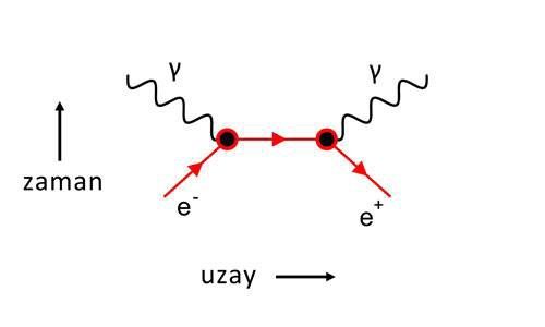 Kuantum elektrodinamiğinde kullanılan Feynman diyagramı ile elektron/pozitron etkileşmesi.